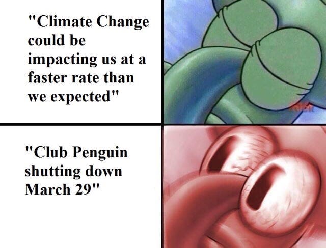 Club Penguin  Know Your Meme