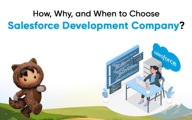 Who Is A Salesforce Development Company Aryan Medium