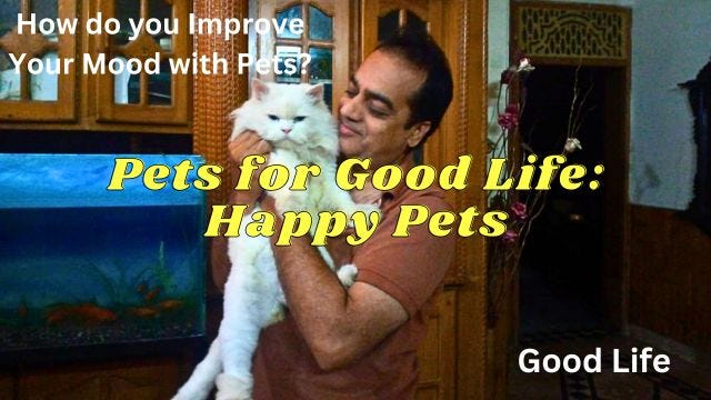 My Happy Pets Pet Collection