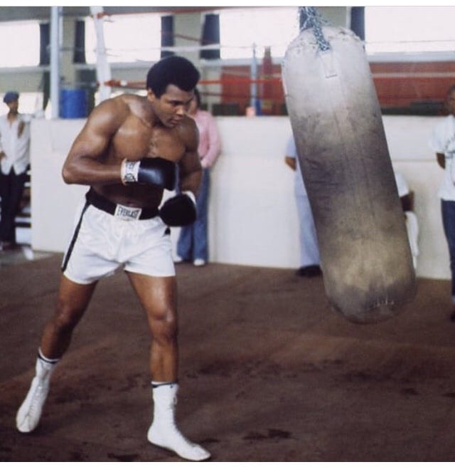 Float like butterfly sting like bee by Beto Villalon Medium Float like butterfly sting like bee by Beto Villalon Medium