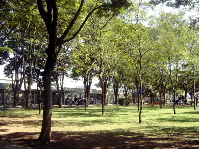 Conheci Jesus em baixo da goiabeira… de uma escola pública  by  