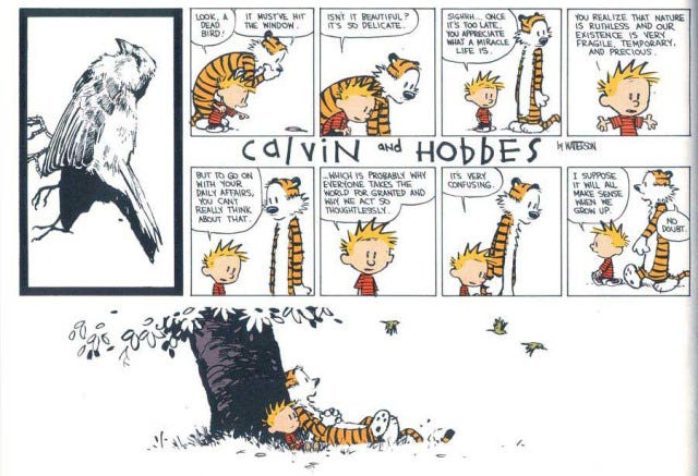 640px x 437px - The absolutely best Calvin and Hobbes comics ever! | by Abhishek Joshi |  Medium