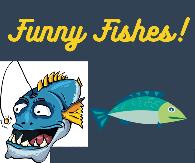 Funny Fish Check the top 3 Crazy Fish names! by Betta Fish News