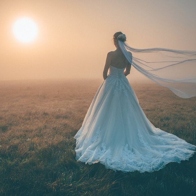 The Ultimate Guide to Wedding Dress Rentals in Toronto | by Booomerang