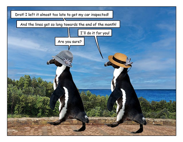 Pengcognito: I have some time on my flippers so why not?