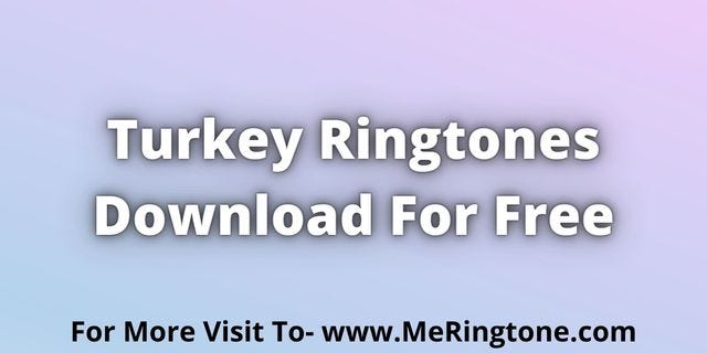 Thanksgiving hours for grocery stores