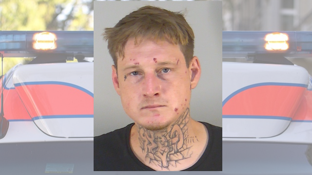 Driver’s seatbelt violation led to this passenger’s drug arrest, warrant for animal cruelty