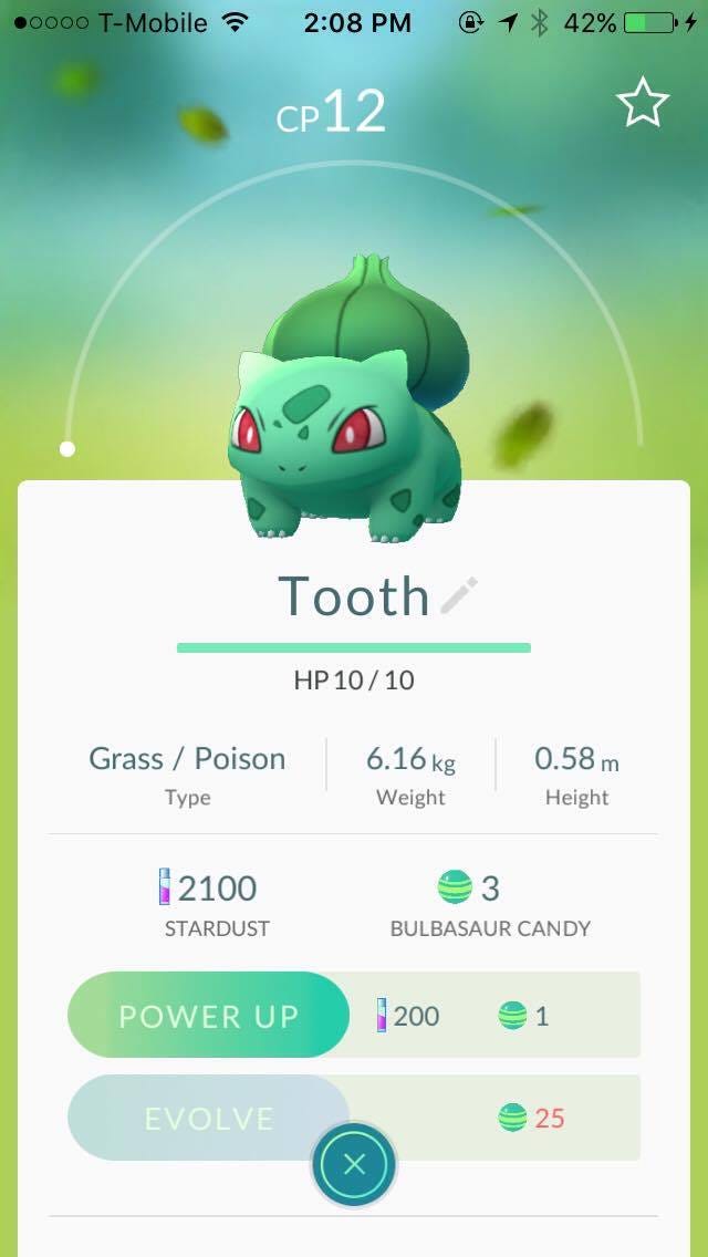 Shiny Bulbasaur (pikachu) 