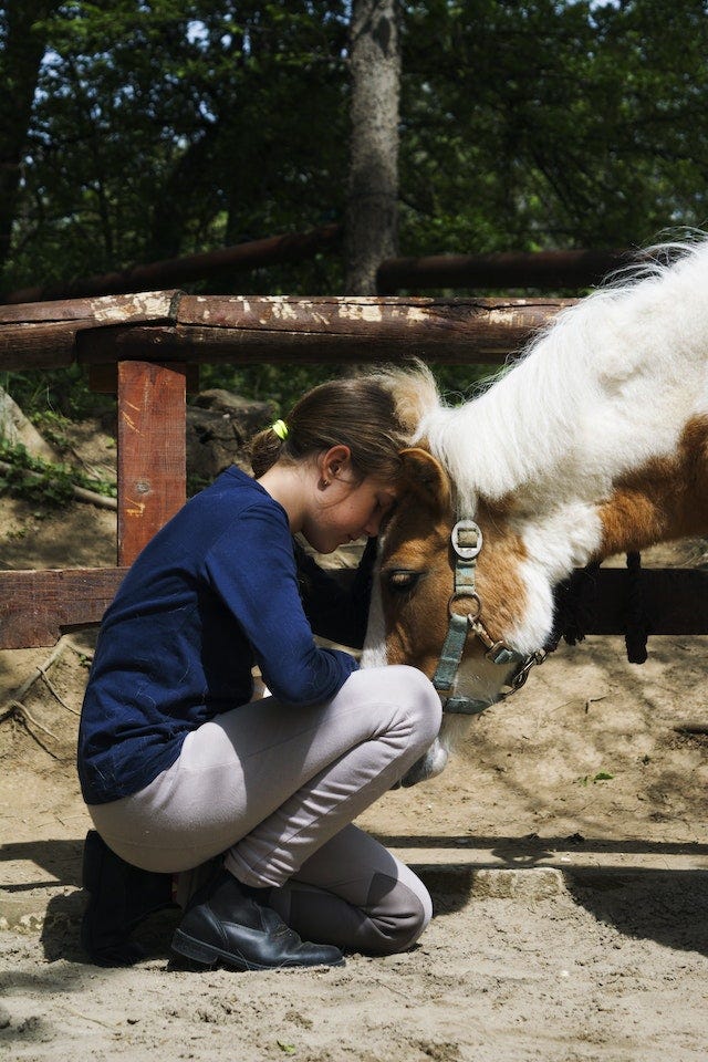 Healing Children And Horses — Hippotherapy by Pamela Oglesby Aug