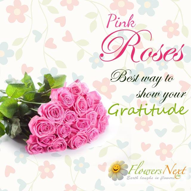 Send Flowers Internationally Johnnydisozall Medium