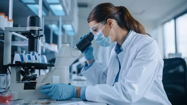 Inside the World of GLP Labs: A Deep Dive into Their Impact on Research
