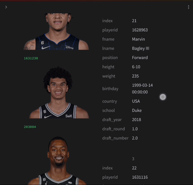 Exploring NBA Active Players Data using Streamlit and Pandas