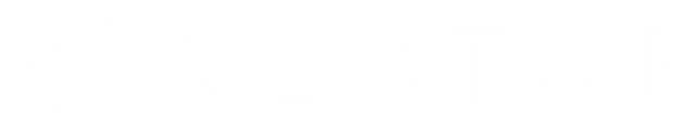 Vector Finance