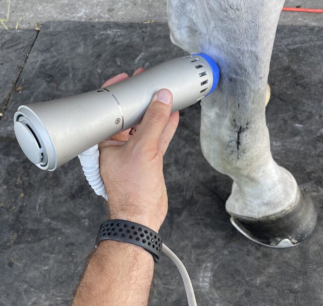 Shock Wave Therapy System in Horses America Cryo Medium