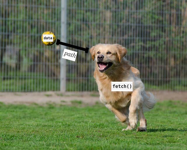 Go, FETCH()!. Welcome back! I can't believe it’s been… | by Jose Fletes ...