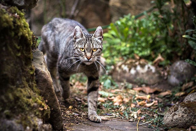 Photo by Zakhar Vozhdaienko via Pexels