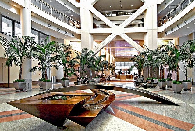 A Lammie s Story My First Visit To The National Institutes Of Health a-lammie-s-story-my-first-visit-to-the-national-institutes-of-health