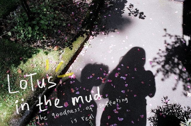 Review AU Lotus In The Mud Hai Semuanya Karena Minggu Lalu Aku 