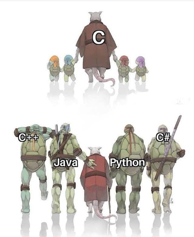 Java vs C++ vs Python vs C: Which Programming Language Will Help You To ...