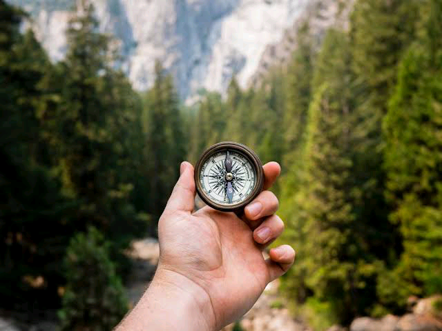 The Search for Meaning