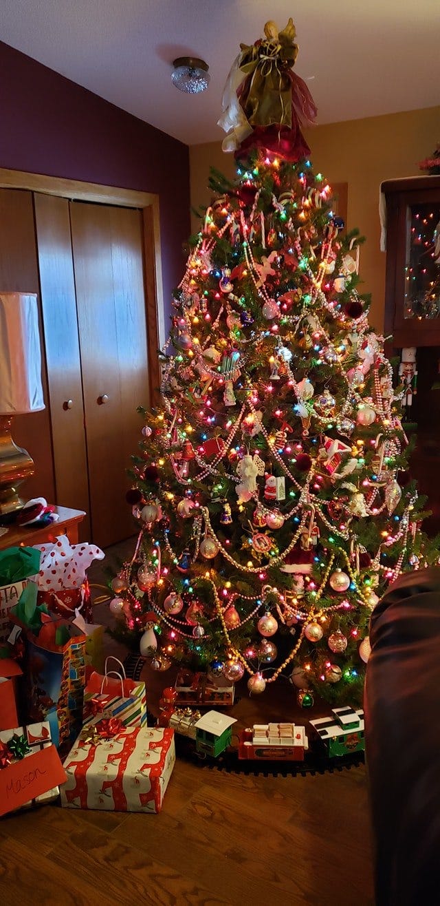 How a Christmas Tree Became a Member of the Family by Cassandra