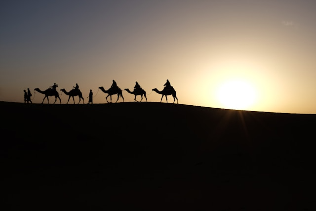 Photo by Inbal Malca on Unsplash