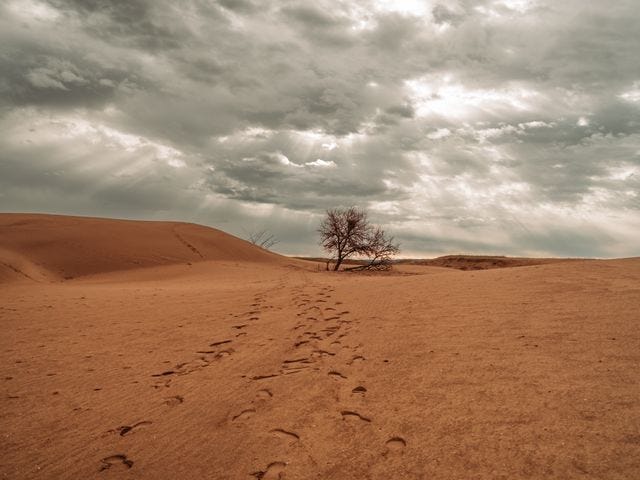 You will find God in the midst of your trouble (Desert).