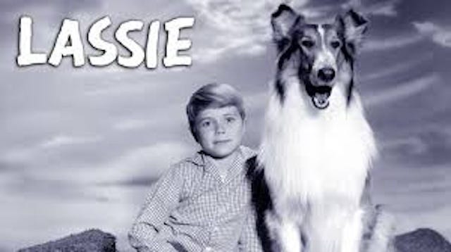 Timmy takes time out to pose with his faithful companion just moments before falling down another well. TV Insider.