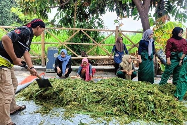 Perbedaan Silase dan Fermentasi untuk Pakan Ternak