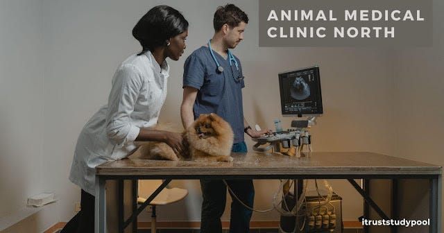 Transforming Animal Care at Animal Medical Clinic North | by Chemamoon