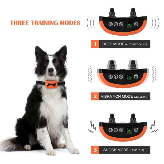 Electronic dog training top devices