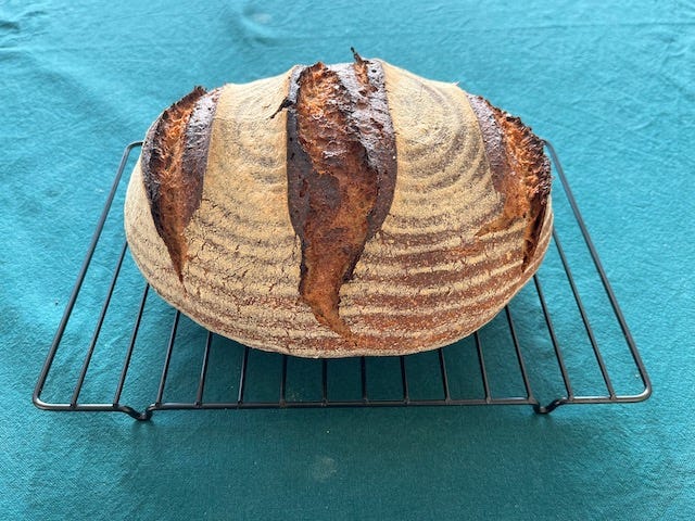 Making Sourdough Bread
