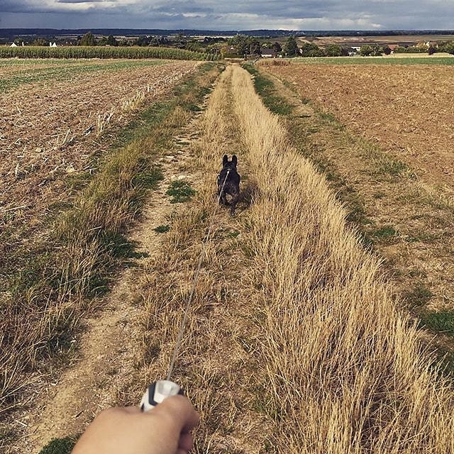 By the way Gooz is a photographer too (and dog owner)!
