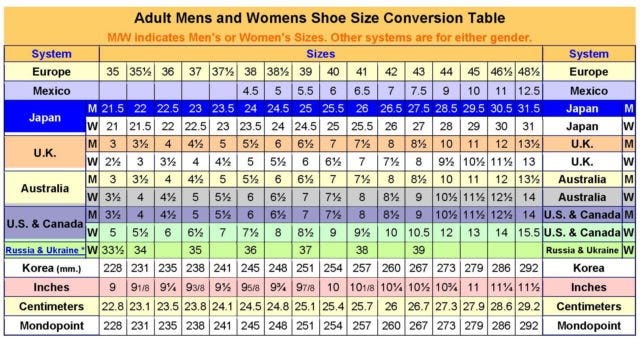 Practical Guide to Understanding Shoe Sizes and Shoe Components | by ...