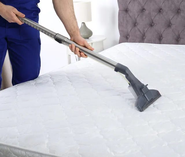 Electrodry Carpet Dry Cleaning Melbourne Southside by Dry as a Bone Carpet Cleaning Jun