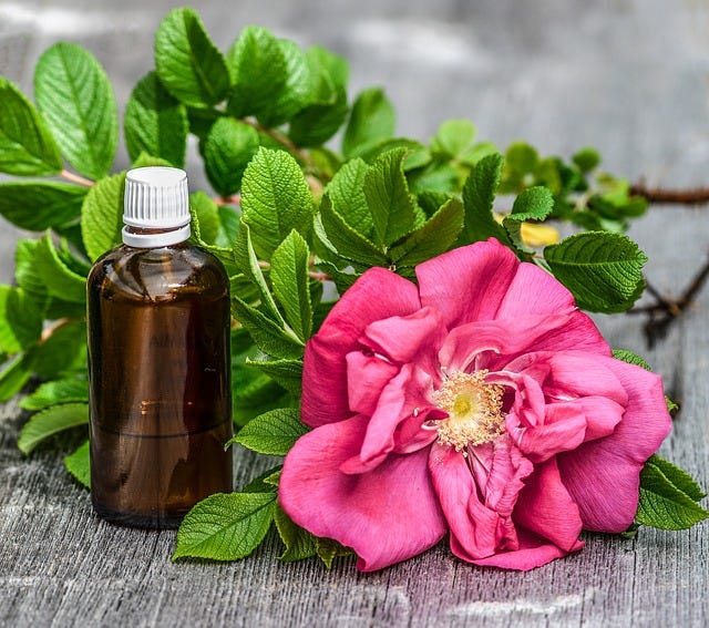 How To Make Attar Of Roses? benjamin Brown Medium