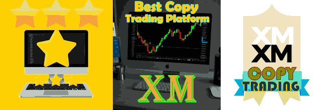 Best Copy Trading Platforms: Compare Top-Rated Options