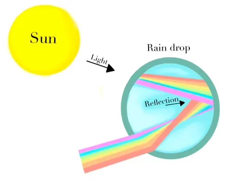 Diagram showing sunlight entering a raindrop and beginning to refract
