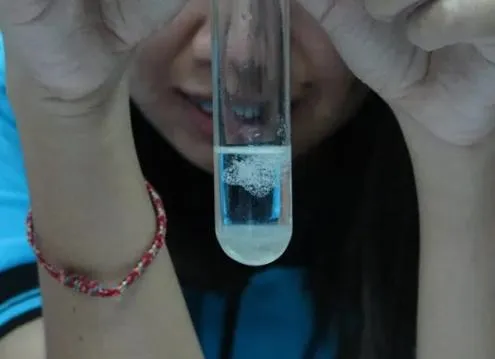 Extracted DNA