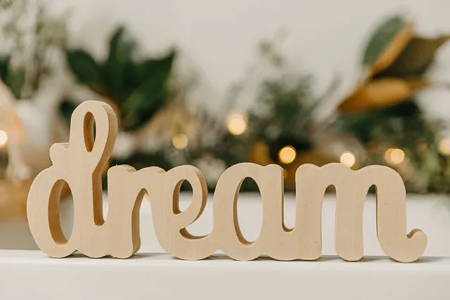 Building IBVM in Indore: A philosophical odyssey through loans, blockchain, and uncharted dreams