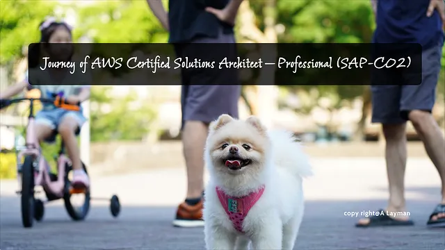 Journey of AWS Certified Solutions Architect — Professional (SAP-C02)