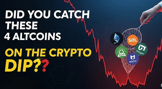 Did You Catch These 4 Altcoins on the Crypto Dip??