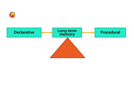 Both Declarative and Procedural Learning of the Same Information Is Important!