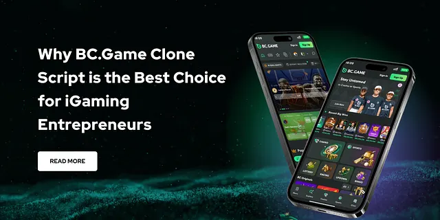 How to choose the best Bc Game Clone Script for iGaming Entrepreneurs