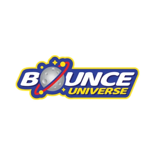 Bounce Universe