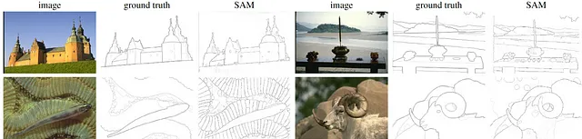 Fig. 13: Predicción de bordes sin aprendizaje previo de SAM. Fuente de la imagen + Anotaciones de Sascha Kirch