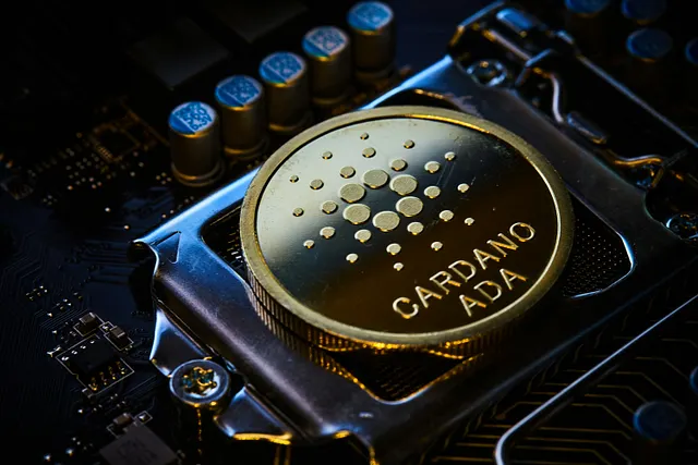 Cardano 质押指南：如何在 2025 年通过 ADA 赚取被动收入