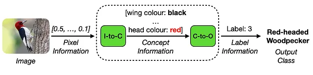 Elaborazione dei modelli basati su concetti a due fasi. Immagine dell'autore.