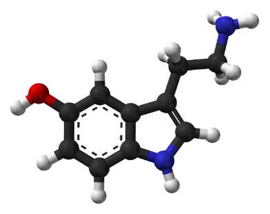 La molecola di serotonina è un esempio di un semplice grafico non orientato. [fonte]