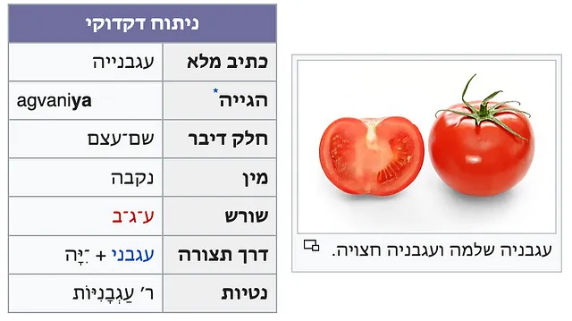 Informazioni grammaticali dell'articolo ebraico Wiktionary עגבניה (pomodoro).